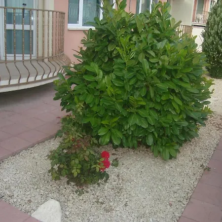 а13 In Sea Paradise Complex דירה קברנה